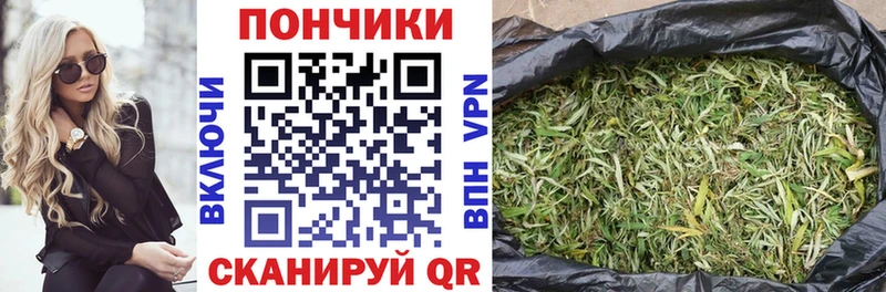 где можно купить наркотик  Цоци-Юрт  Конопля White Widow 