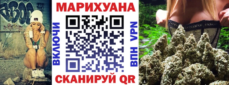 Бошки Шишки сатива Цоци-Юрт